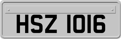 HSZ1016