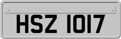 HSZ1017