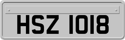 HSZ1018