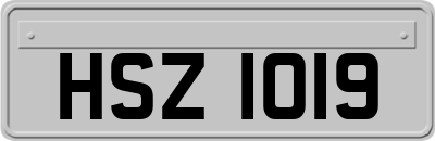 HSZ1019