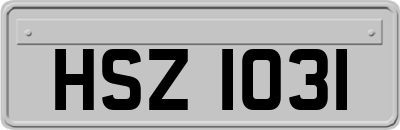 HSZ1031