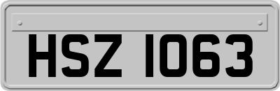 HSZ1063