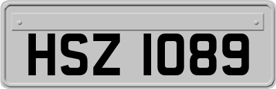 HSZ1089