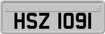HSZ1091