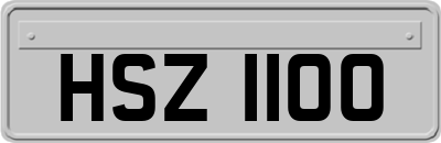 HSZ1100