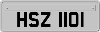 HSZ1101