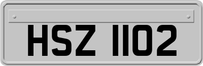 HSZ1102