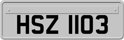 HSZ1103