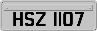 HSZ1107