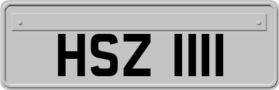 HSZ1111