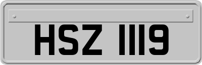 HSZ1119