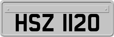 HSZ1120