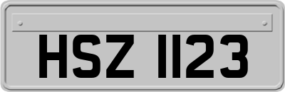 HSZ1123