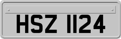 HSZ1124