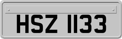 HSZ1133