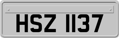 HSZ1137