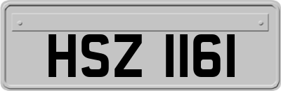 HSZ1161