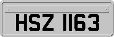 HSZ1163
