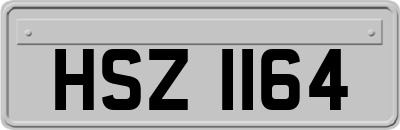 HSZ1164