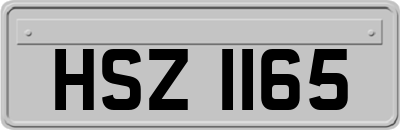 HSZ1165