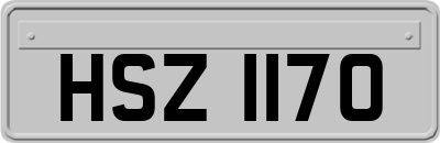 HSZ1170