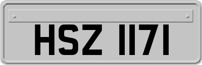 HSZ1171