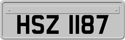 HSZ1187