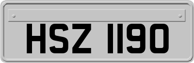HSZ1190