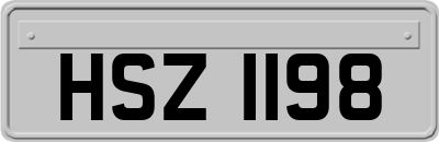 HSZ1198