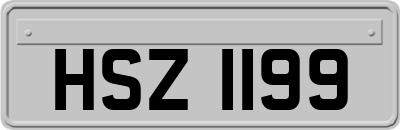 HSZ1199