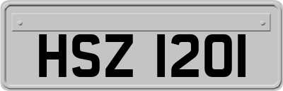 HSZ1201