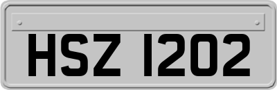 HSZ1202