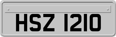HSZ1210