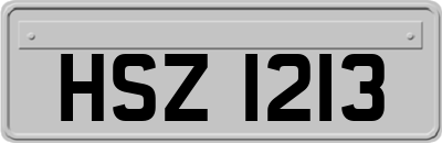 HSZ1213