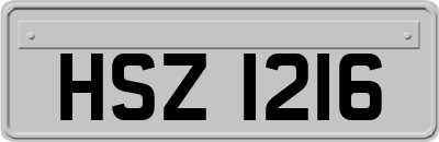HSZ1216