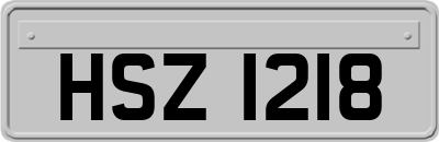 HSZ1218