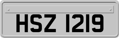 HSZ1219