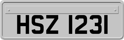HSZ1231