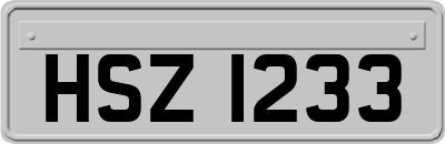 HSZ1233