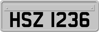 HSZ1236