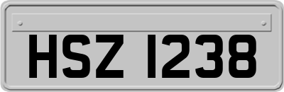 HSZ1238