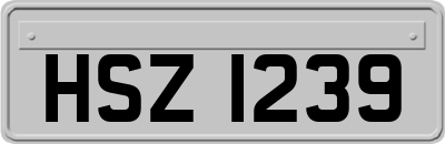 HSZ1239