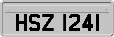 HSZ1241