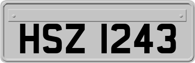 HSZ1243