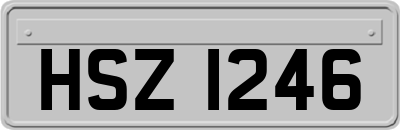 HSZ1246