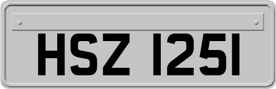 HSZ1251