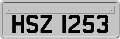 HSZ1253