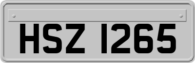 HSZ1265