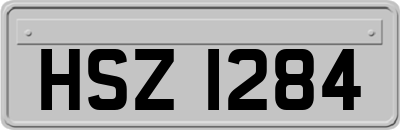 HSZ1284