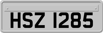 HSZ1285